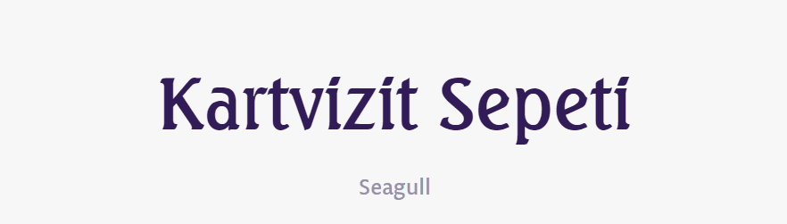 tırnakli-fontlar-serif-yazi-tipleri (76)