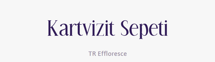 tırnakli-fontlar-serif-yazi-tipleri (79)