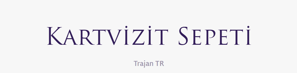 tırnakli-fontlar-serif-yazi-tipleri (81)