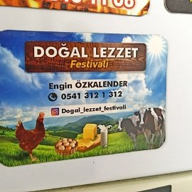 Oval-Kesim-Magnet (10)