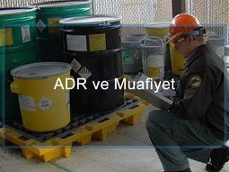 MUAFİYET RAPORU (TMGD)
