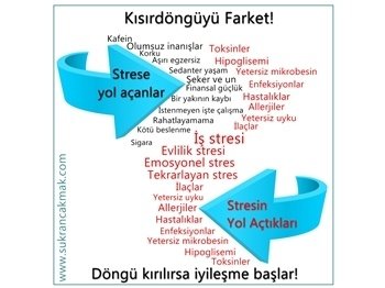 Kronik Stresin Vücudumuza Etkileri
