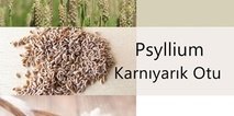 Psyllium - Karnıyarık Otu