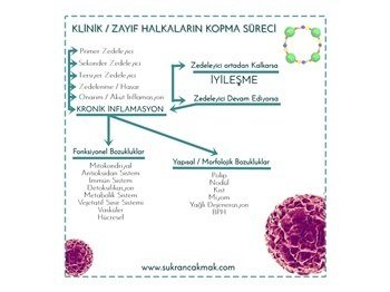 Klinik Zayıf Halkaların Kopma Süreci