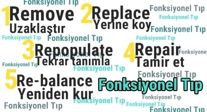 Fonksiyonel Tıp