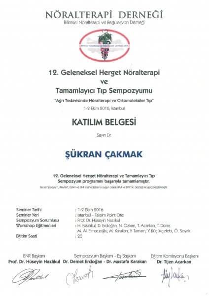 12. Geleneksel Herget Nöralterapi ve Tamamlayıcı Tıp
