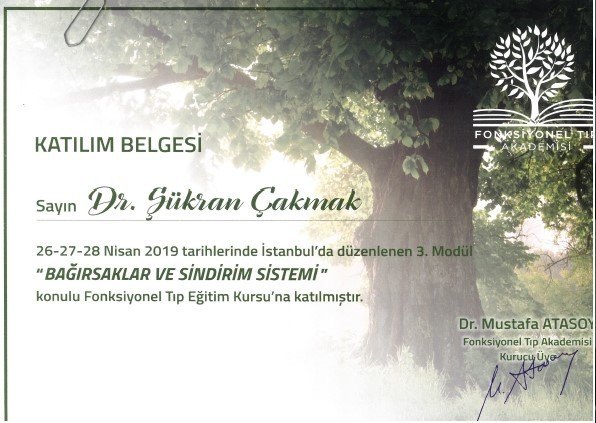 Bağırsaklar ve Sindirim Sistemi