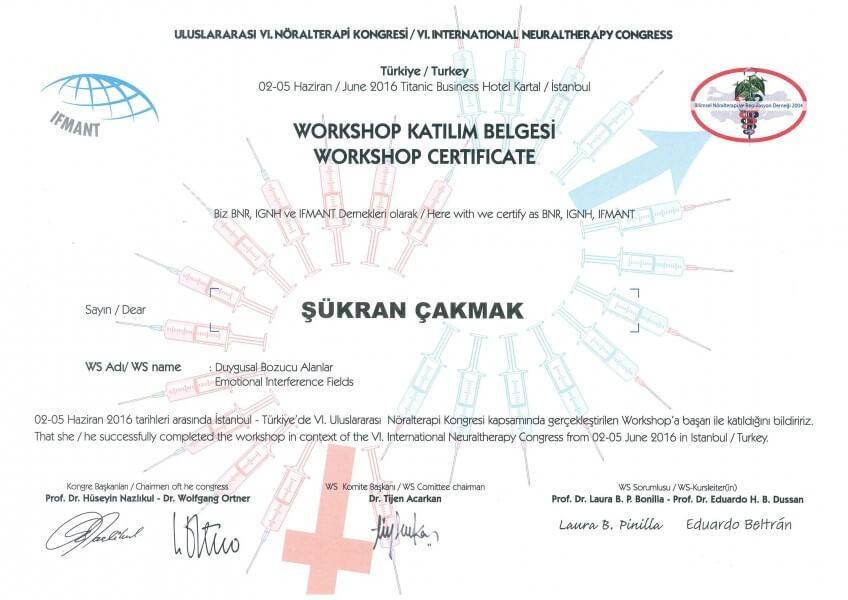 Duygusal Bozucu Alanlar