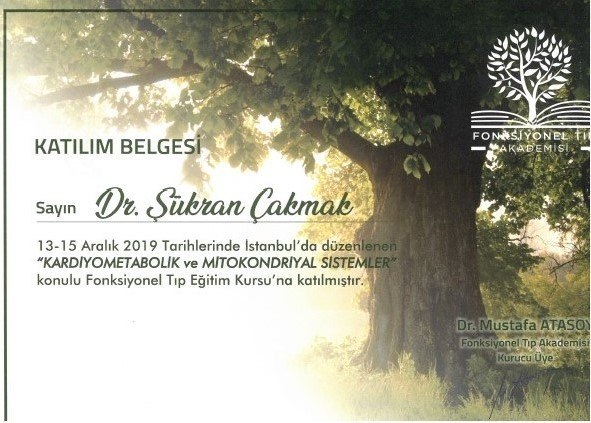 Kardiyometabolik ve Mitokondriyal Sistemler