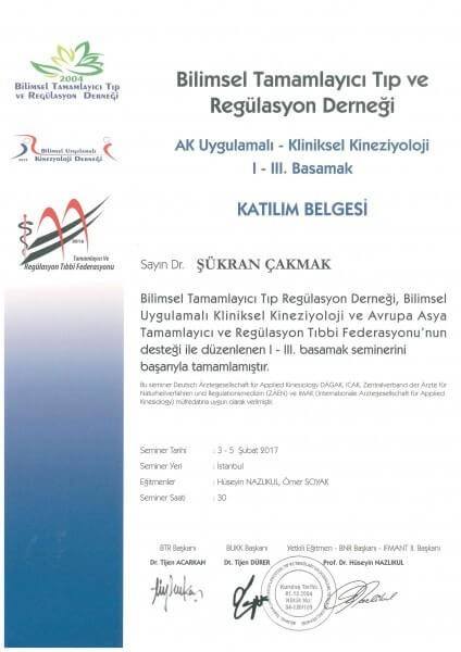 Kliniksel Kineziyoloji 1.2.3. Basamak