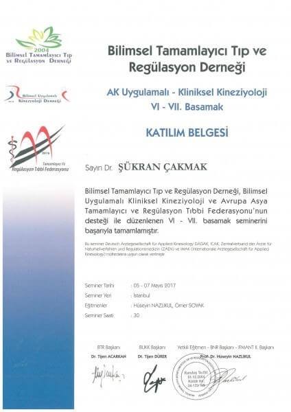 Kliniksel Kineziyoloji 6.7. Basamak