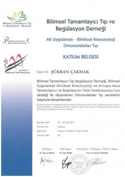 Kliniksel Kineziyoloji Ortomoleküler Tıp