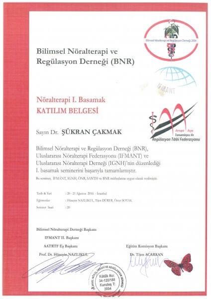 Nöralterapi 1. Basamak