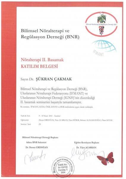 Nöralterapi 2. Basamak