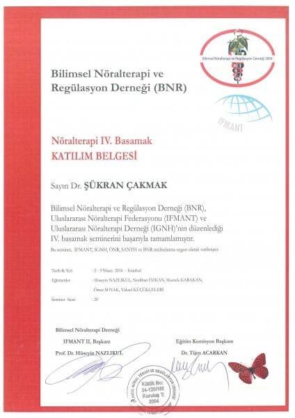 Nöralterapi 4. Basamak