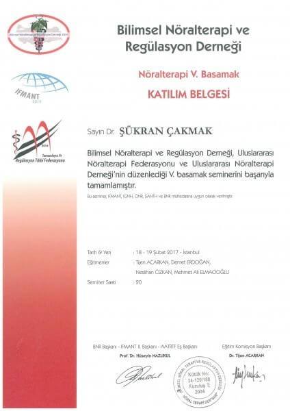 Nöralterapi 5. Basamak