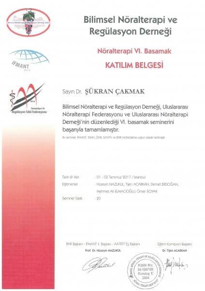 Nöralterapi 6. Basamak