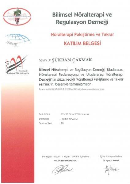 Nöralterapi Pekiştirme ve Tekrar