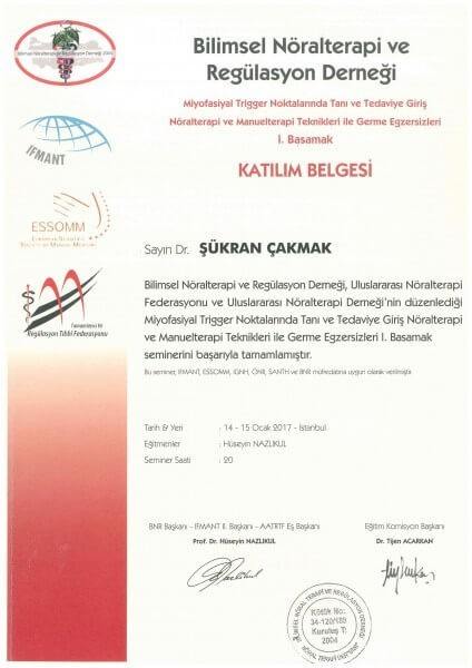 Nöralterapi ve Manuelterapi Teknikleri ile Germe Egzersizleri 1.