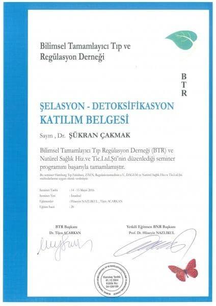 Şelasyon Detoksifikasyon