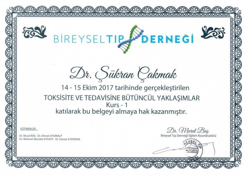 Toksisite ve Tedavisine Bütüncül Yaklaşımlar 1.