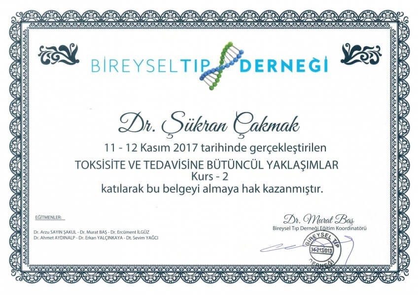 Toksisite ve Tedavisine Bütüncül Yaklaşımlar 2.