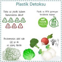 plastik detoks