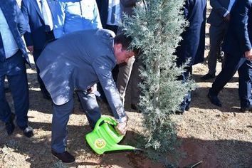 75456645_552368182207106_408164906941022208_o