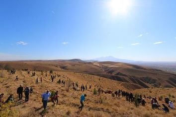 74531622_3122594417768823_5077266516332773376_o