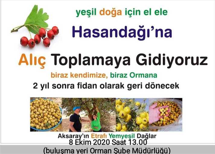 121084898_10158632501276877_5930848712157449170_o