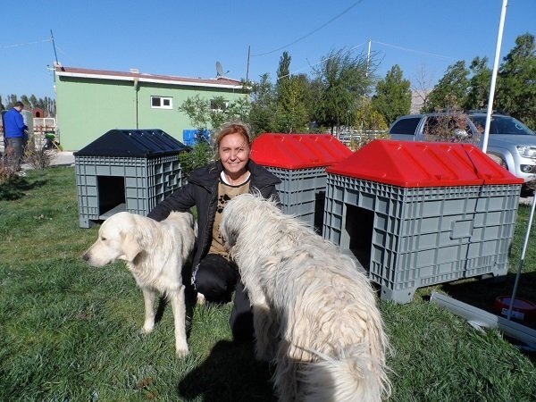 1469169041_resim_SAM_5919