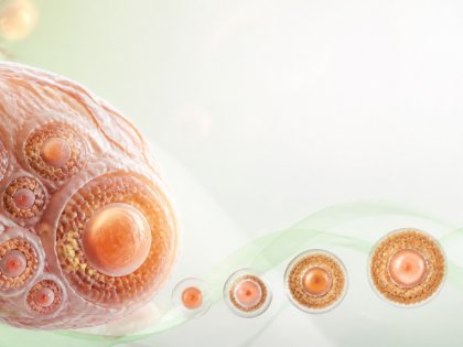 Yumurta Donasyonu Nedir? Nasıl Yapılır, Kimlere Uygun?