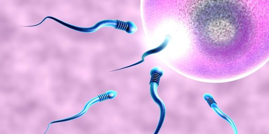 Yumurta Donasyonu Yapan Merkez