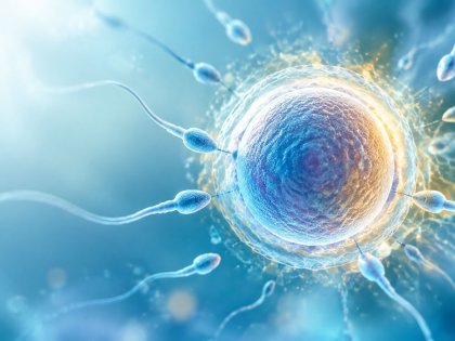 Yumurta ve Sperm Donasyonu Süreç, Hukuk ve Etik Rehber