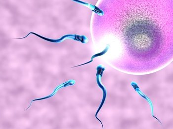 En İyi Tüp Bebek Merkezi