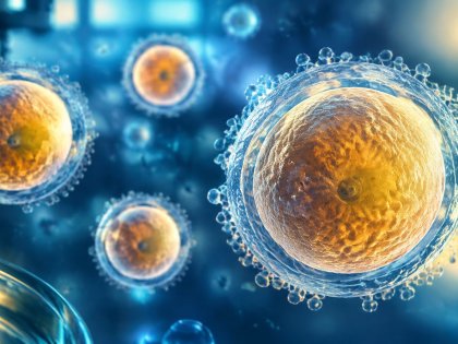 Yumurta Donasyonu Tavsiye Rehberi Dört Karar Basamağı