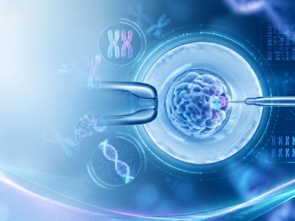 PGT Yaptıranlar İçin Rapor Okuma Terimler ve Sonuçları
