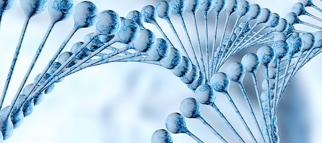 pgt-pgd-pgs-----------------