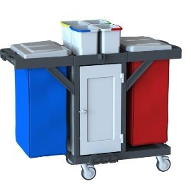 Temizlik Makinası C 391 D