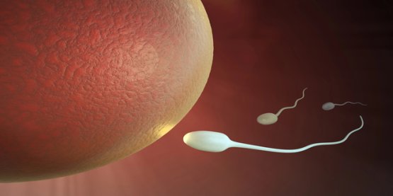 Who is eligible for egg donation?