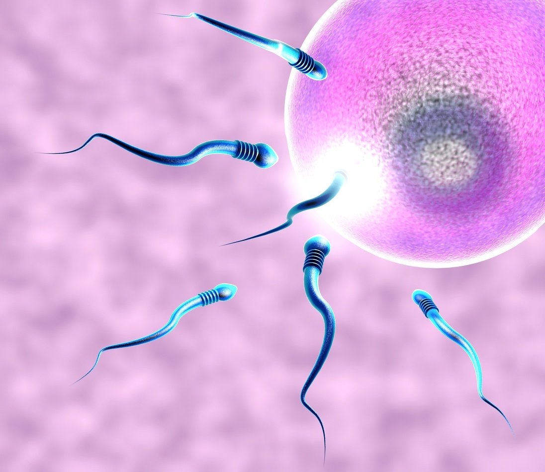 Egg Donation in Tbilisi, Batumi