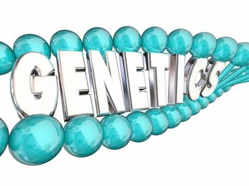 Preimplantation Genetic Diagnosis (PGD)