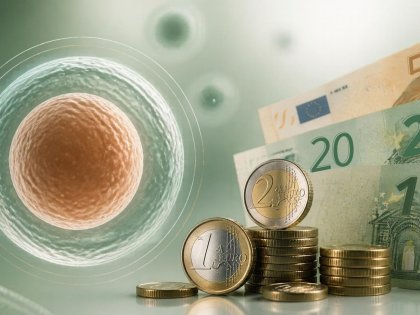 Georgia Egg Donation Prices In 2026 Tbilisi And Batumi