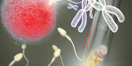 Egg, Sperm, Embryo Donation and Surrogate Mother