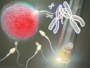 Egg, Sperm, Embryo Donation and Surrogate Mother