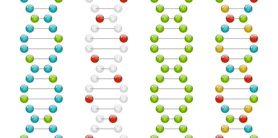 LIM-15 PCNA Gene Expression Test