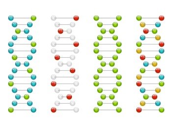 LIM-15 PCNA Gene Expression Test