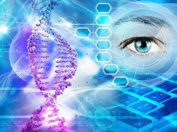 Preimplantation Genetic Diagnosis in Single Gene Disorders
