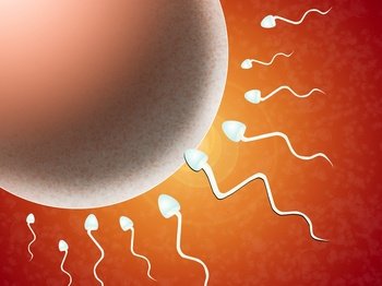 Sperm Donation Prices