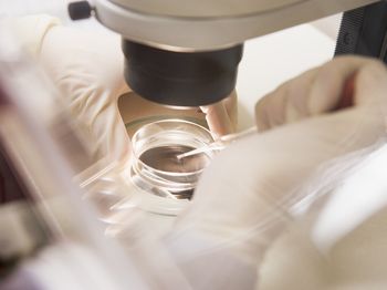 Whole Exome Sequencing (WES)